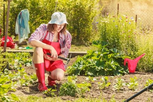 Healthy lawn cared for by Gardener Hounslow