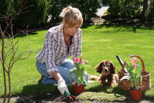 Team member testing screen-reader support and keyboard navigation for gardening services