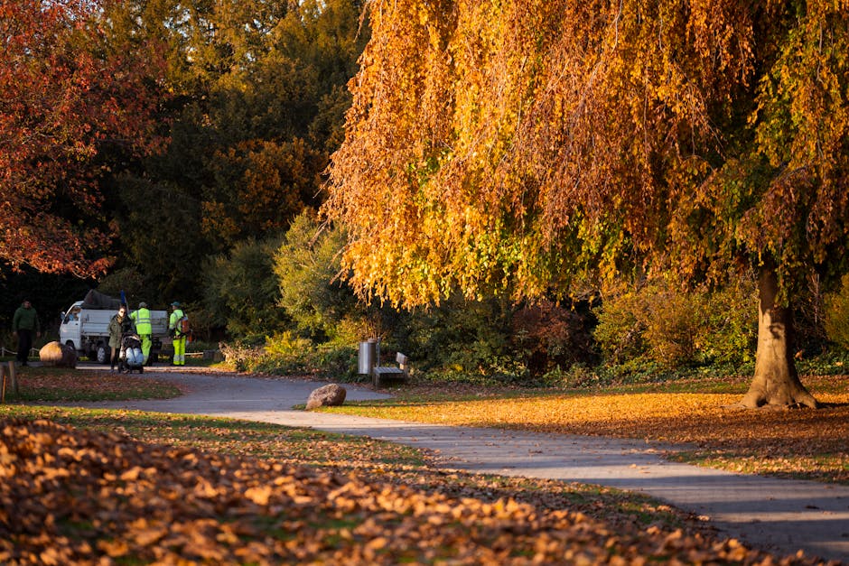 A scenic park scene featuring a large deciduous tree with vibrant orange and yellow leaves, some of which have fallen onto the ground, creating a colorful autumn carpet. A paved pathway curves gently