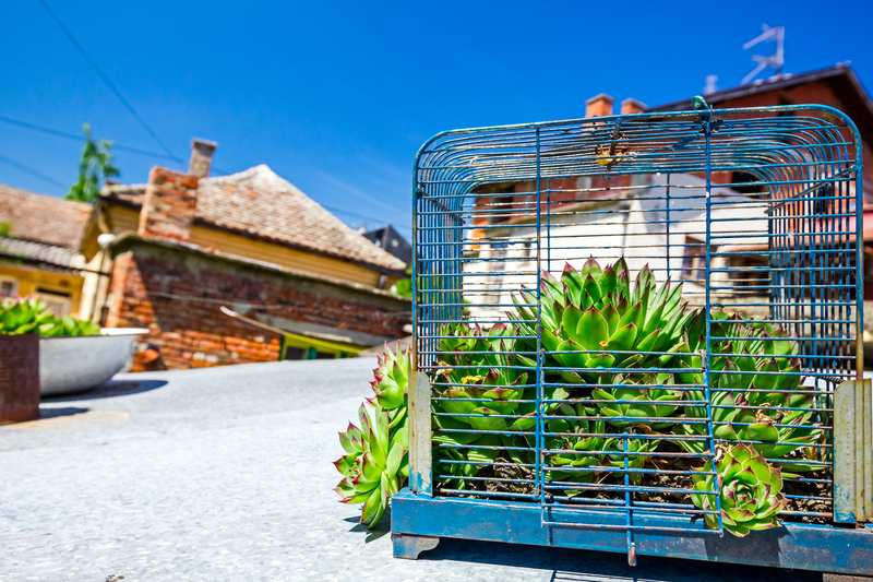 Upgrade Your Garden Haven with Stunning Tall-Potted Plants for Privacy